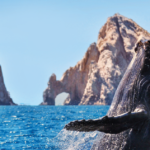 Turismo en Los Cabos impulsa la economía de Baja California Sur