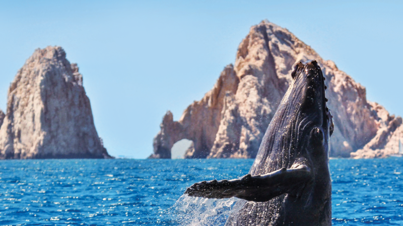 Turismo en Los Cabos impulsa la economía de Baja California Sur