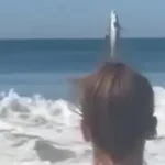 Captan espectacular salto de un tiburón blanco en una playa de California